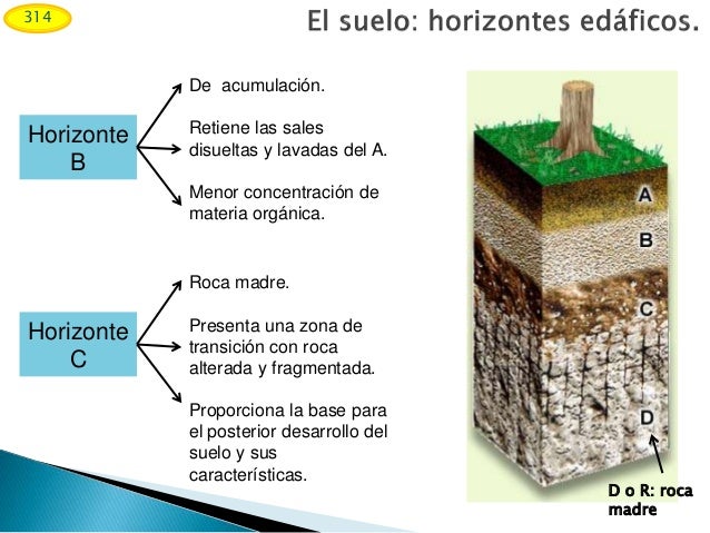 Las interfases: Litoral y suelo.