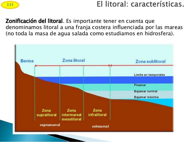 Las interfases: Litoral y suelo.