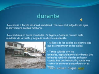 • No camine a través de áreas inundadas. Tan solo seis pulgadas de agua
en movimiento pueden tumbarlo.

• No conduzca en áreas inundadas. Si llegara a toparse con una calle
inundada, de la vuelta y regrese en dirección opuesta.
                                    • Aléjese de los cables de electricidad
                                    que se encuentran en las calles.

                                    • Tenga cuidado con los
                                    animales, especialmente las víboras. Los
                                    animales también pierden su hogar
                                    cuando hay una inundación; puede que
                                    traten de salvarse y guardarse en su
                                    hogar.
 