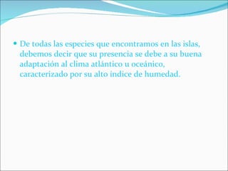 De todas las especies que encontramos en las islas, debemos decir que su presencia se debe a su buena adaptación al clima atlántico u oceánico, caracterizado por su alto índice de humedad. 