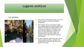 Lugares exóticos
Las grietas
 Este sitio se encuentra muy cerca de
Puerto Ayora, al oeste de Bahía
Academia.
 Para llegar allí es necesario coger
una panga desde el muelle municipal
hasta el muelle del Hotel Delfín, de
ahí hay que seguir el sendero que
pasa por las lagunas, la playa y la
zona residencial hasta llegar al
barranco de la grieta mayor. El
sendero está marcado con estacas
del Parque.
 Es área abierta, pero hay que tomar
ciertas precauciones, ya que una
caída desde el borde del barranco
podría ser fatal.
 