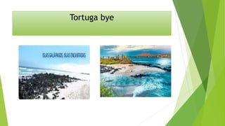 Tortuga bye
 