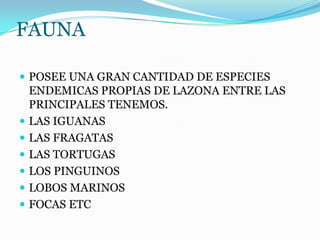 FAUNA

 POSEE UNA GRAN CANTIDAD DE ESPECIES
    ENDEMICAS PROPIAS DE LAZONA ENTRE LAS
    PRINCIPALES TENEMOS.
   LAS IGUANAS
   LAS FRAGATAS
   LAS TORTUGAS
   LOS PINGUINOS
   LOBOS MARINOS
   FOCAS ETC
 