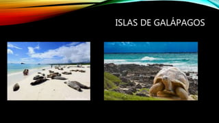 ISLAS DE GALÁPAGOS
 