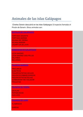 Animales de las islas Galápagos
Charles Darwin descubrió en las Islas Galápagos 13 especies llamadas el
Pinzón de Darwin. Otros animales son:

REPTILES DE GALAPAGOS

TORTUGA GIGANTE
TORTUGA MARINA
IGUANA DE TIERRA
IGUANA MARINA
LAGARTIJA DE LAVA


MAMIFEROS DE GALAPAGOS

LEON MARINO
LEON MARINO DOS PELOS
DELFINES
BALLENAS


PAJAROS MARINOS

PINGUINOS
ALBATROS
PIQUEROS PATAS AZULES
PIQUEROS ENMASCARADOS
PIQUEROS PATAS ROJAS
CORMORANT NO VOLADOR
FRAGATAS


PAJAROS DE TIERRA

GAVILAN
PAPAMOSCAS
CUCUVES


PAJAROS DE LAGO

FLAMINGOS

GARZAS
 