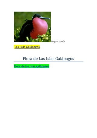 Fragata común

Las Islas Galápagos


      Flora de Las Islas Galápagos
Flora de las islas galápagos
 