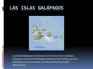 LAS ISLAS GALÁPAGOS
Las IslasGalápagos constituyen uno de los más complejos,
diversos y únicos archipiélagos oceánicos del mundo, que aún
mantiene sus ecosistemas y biodiversidad sin grandes
alteraciones.
 