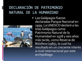 DECLARACIÓN DE PATRIMONIO
NATURAL DE LA HUMANIDAD
 Las Galápagos fueron
declaradas Parque Nacional en
1959. La UNESCO declaró a las
Islas Galápagos como
Patrimonio Natural de la
Humanidad en 1978 y seis años
más tarde, como Reserva de
Biósfera (1985), lo cual ha
resultado en un creciente interés
a nivel internacional por este
archipiélago.
 