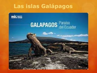 Las islas Galápagos
 