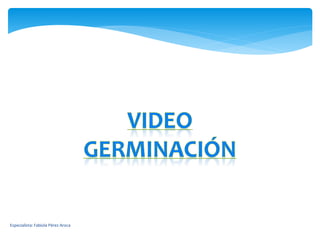 Especialista: Fabiola Pérez Aroca
 