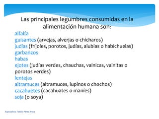 Las principales legumbres consumidas en la
alimentación humana son:
alfalfa
guisantes (arvejas, alverjas o chícharos)
judías (fríjoles, porotos, judías, alubias o habichuelas)
garbanzos
habas
ejotes (judías verdes, chauchas, vainicas, vainitas o
porotos verdes)
lentejas
altramuces (altramuces, lupinos o chochos)
cacahuetes (cacahuates o maníes)
soja (o soya)
Especialista: Fabiola Pérez Aroca
 