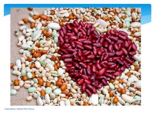 Especialista: Fabiola Pérez Aroca
 