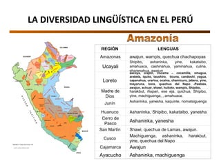 LA DIVERSIDAD LINGÜÍSTICA EN EL PERÚ
S ECOYA
CHAYAHUITA
AIMARA
A IMARA
QUECHUA
BORA
OREJÓN
HUITOTO
ARABELA
Q
UE
CHU
A
IQUITO
HUITOTO
OCAIN
A
YAGUA
TICUNA
COCAMA
COCAMILLA
OMAGUA
QUECHUA
URARINA
A C H
U A R
QUECHUA
CANDOSHI
JEBERO
CHAMI-CURO
QUECHUA
QUECHUA
PIRO
CAPANAHU
A
MAY
ORUNA
SHIPIBO-CONIBO
CASHIBO
-CACATAIBO
ASHANINCA
ASHANINCA
YANESHA
PIRON
O
MA
TSIG
UE
NG
A
CAQUINTE
IÑAPARI QUECHUA
ESEEJ A
HARAKMBUT
PIRO
Q UECHUA
Q
U
E
C
H
U
A
TU
M
BES
P
I
U
R
A
LAMBAYEQUE
LALIBERTAD
ANCASH
HUANUCO
CERRO DE
PASCO
HUANCAVELICA
AYACUCHO APURIMAC
CUZCO
PUNO
TACNA
M
OQUEG
UA
A R E Q U I P A
IQUITOS
HUAM
BISA
AGUARUNA
QUECHUA
CAJAMARCA
AMAZONAS
JA Q
ARU
L O R E T O
AM
AH
UACA
CA
SHINA
HUA
YAMINAHUA
CULIN
A
MACHIGUENGA
L I M A
MADRE DE DIOS
UCAYALI
ECUADOR
COLOMBIA
BRASIL
BOLIVIA
O
C
É
A
N
O
PA
C
ÍF
IC
O
CHILE
Arre glos: G. He rmelinda Mamanchura Sardón
Mapa Base: Dr. Gustavo Solis Fonseca - CILA
REGIÓN LENGUAS
Amazonas awajun, wampis, quechua chachapoyas
Ucayali
Shipibo, ashaninka, yine, kakataibo,
amahuaca, cashinahua, yaminahua, culina,
sharanahua, awajun
Loreto
secoya, orejón, cocama – cocamilla, omagua,
arabela, iquito, taushiro, ticuna, candoshi, yagua,
capanahua, urarina, ocaina, chamicuro, jebero, yine,
mayoruna, bora, quechua del Napo -Pastaza,
awajun, achuar, shawi, huitoto, wampis, Shipibo,
Madre de
Dios
harakbut, iñapari, ese eja, quichua, Shipibo,
yine, machiguenga, , amahuaca.
Junín Ashaninka, yanesha, kaquinte, nomatsiguenga
Huanuco Ashaninka, Shipibo, kakataibo, yanesha
Cerro de
Pasco
Ashaninka, yanesha
San Martín Shawi, quechua de Lamas, awajun.
Cusco
Machiguenga, ashaninka, harakbut,
yine, quechua del Napo
Cajamarca Awajun
Ayacucho Ashaninka, machiguenga
 