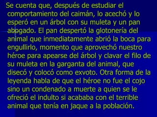 Se cuenta que, después de estudiar el comportamiento del caimán, lo acechó y lo esperó en un árbol con su muleta y un pan abogado. El pan despertó la glotonería del animal que inmediatamente abrió la boca para engullirlo, momento que aprovechó nuestro héroe para apearse del árbol y clavar el filo de su muleta en la garganta del animal, que disecó y colocó como exvoto. Otra forma de la leyenda habla de que el héroe no fue el cojo sino un condenado a muerte a quien se le ofreció el indulto si acababa con el terrible animal que tenía en jaque a la población.   