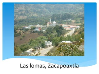 Las lomas, Zacapoaxtla 
 