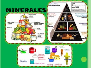 MINERALES
 