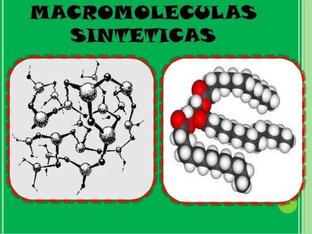 Las macromoleculas