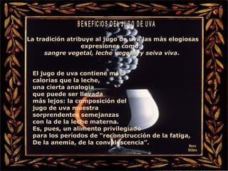 Nura Slides BENEFICIOS DEL JUGO DE UVA La tradición atribuye al jugo de uva las más elogiosas  expresiones como:  sangre vegetal, leche vegetal y seiva viva . El jugo de uva contiene más  calorias que la leche,  una cierta analogia  que puede ser llevada  más lejos: la composición del  jugo de uva muestra sorprendentes semejanzas con la de la leche materna.  Es, pues, un alimento privilegiado  para los períodos de “reconstrucción de la fatiga, De la anemia, de la convalescencia”.  