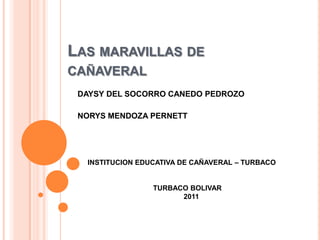 Las maravillas de cañaveral DAYSY DEL SOCORRO CANEDO PEDROZO NORYS MENDOZA PERNETT INSTITUCION EDUCATIVA DE CAÑAVERAL – TURBACO TURBACO BOLIVAR     2011 