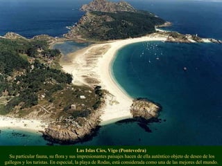 Las Islas Cíes, Vigo (Pontevedra)  Su particular fauna, su flora y sus impresionantes paisajes hacen de ella auténtico obj...