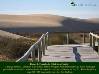 Dunas de Corrubedo, Ribeira (A Coruña) El paisaje dunar de Corrubedo es un espacio natural protegido. Una intensa activida...