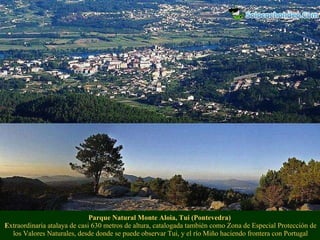 Parque Natural Monte Aloia, Tui (Pontevedra)  E xtraordinaria atalaya de casi 630 metros de altura, catalogada también com...