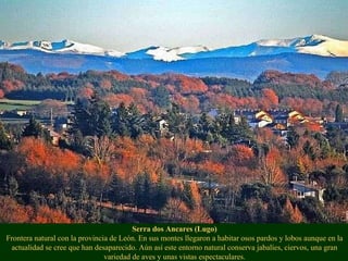Serra dos Ancares (Lugo) Frontera natural con la provincia de León. En sus montes llegaron a habitar osos pardos y lobos aunque en la actualidad se cree que han desaparecido. Aún así este entorno natural conserva jabalíes, ciervos, una gran variedad de aves y unas vistas espectaculares. 