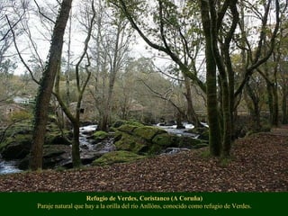 Refugio de Verdes, Coristanco (A Coruña) Paraje natural que hay a la orilla del río Anllóns, conocido como refugio de Verd...