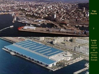 Vigo Puerto   y   Lonja   la de mayor subasta de pescado fresco de toda Europa 
