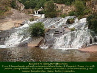 Parque del río Barosa, Barro (Pontevedra) Es una de las paradas principales del camino portugués hacia Santiago de Compostela. Durante el recorrido podemos contemplar la belleza de la catarata de Barosa con un desnivel de unos treinta metros, y a los márgenes diecisiete molinos (algunos de ellos reconstruidos),   