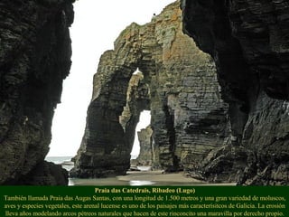Praia das Catedrais, Ribadeo (Lugo)
También llamada Praia das Augas Santas, con una longitud de 1.500 metros y una gran variedad de moluscos,
aves y especies vegetales, este arenal lucense es uno de los paisajes más caracterísitcos de Galicia. La erosión
lleva años modelando arcos pétreos naturales que hacen de este rinconcito una maravilla por derecho propio.
 