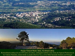 Parque Natural Monte Aloia, Tui (Pontevedra)
Extraordinaria atalaya de casi 630 metros de altura, catalogada también como Zona de Especial Protección de
los Valores Naturales, desde donde se puede observar Tui, y el río Miño haciendo frontera con Portugal
 