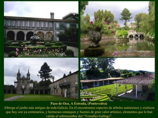 Pazo de Oca, A Estrada, (Pontevedra)
Alberga el jardín más antiguo de toda Galicia. En él encontramos especies de árboles autóctonos y exóticos
que hoy son ya centenarios, y hermosos estanques y fuentes de gran valor artístico, elementos que le han
valido el sobrenombre del “Versalles Gallego”.
 