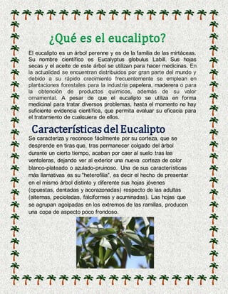 ¿Qué es el eucalipto?
El eucalipto es un árbol perenne y es de la familia de las mirtáceas.
Su nombre científico es Eucalyptus globulus Labill. Sus hojas
secas y el aceite de este árbol se utilizan para hacer medicinas. En
la actualidad se encuentran distribuidos por gran parte del mundo y
debido a su rápido crecimiento frecuentemente se emplean en
plantaciones forestales para la industria papelera, maderera o para
la obtención de productos químicos, además de su valor
ornamental. A pesar de que el eucalipto se utiliza en forma
medicinal para tratar diversos problemas, hasta el momento no hay
suficiente evidencia científica, que permita evaluar su eficacia para
el tratamiento de cualquiera de ellos.
Característicasdel Eucalipto
Se caracteriza y reconoce fácilmente por su corteza, que se
desprende en tiras que, tras permanecer colgado del árbol
durante un cierto tiempo, acaban por caer al suelo tras las
ventoleras, dejando ver al exterior una nueva corteza de color
blanco-plateado o azulado-pruinoso. Una de sus características
más llamativas es su "heterofilia", es decir el hecho de presentar
en el mismo árbol distinto y diferente sus hojas jóvenes
(opuestas, dentadas y acorazonadas) respecto de las adultas
(alternas, pecioladas, falciformes y acuminadas). Las hojas que
se agrupan agolpadas en los extremos de las ramillas, producen
una copa de aspecto poco frondoso.
 