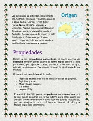 OrigenLos eucaliptos se extienden naturalmente
por Australia, Tasmania y diversas islas de
la zona: Nueva Guinea, Timor, Solor,
Flores, Nueva Bretaña, Molucas y
Mindanao. Aunque bien representados en
Tasmania, la mayor diversidad se da en
Australia. De sus lugares de origen ha sido
distribuido artificialmente por todo el
mundo, especialmente en zonas de clima
mediterráneo, subtropical y tropical.
Propiedades
Debido a sus propiedades antisépticas, el aceite esencial de
eucalipto también puede usarse de forma tópica (sobre la piel)
para curar, por ejemplo, cortes, arañazos o heridas, ya que,
además de desinfectar, favorece el proceso de cicatrizado de las
mismas.
Otras aplicaciones del eucalipto serían:
 Procesos inflamatorios de las encías y casos de gingivitis.
 Espinillas y acné.
 Aftas y llagas bucales.
 Mal aliento.
 Herpes (ITS)
El eucalipto también posee propiedades antirreumáticas, por
lo que puede aplicarse de forma externa para paliar casos de
artrosis, artritis reumatoide y otros tipos de dolores musculares,
ya que masajear la zona contribuye a disminuir el dolor y a
reducir el proceso inflamatorio.
 