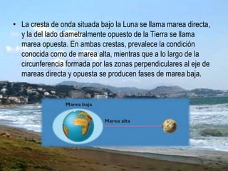 • La cresta de onda situada bajo la Luna se llama marea directa,
y la del lado diametralmente opuesto de la Tierra se llama
marea opuesta. En ambas crestas, prevalece la condición
conocida como de marea alta, mientras que a lo largo de la
circunferencia formada por las zonas perpendiculares al eje de
mareas directa y opuesta se producen fases de marea baja.
 