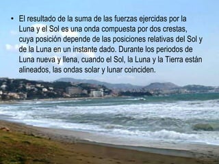 • El resultado de la suma de las fuerzas ejercidas por la
Luna y el Sol es una onda compuesta por dos crestas,
cuya posición depende de las posiciones relativas del Sol y
de la Luna en un instante dado. Durante los periodos de
Luna nueva y llena, cuando el Sol, la Luna y la Tierra están
alineados, las ondas solar y lunar coinciden.
 