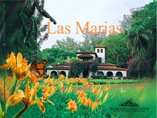 LAS MARIAS Las Marias 