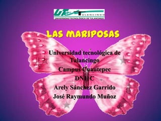 Las mariposas
Universidad tecnológica de
       Tulancingo
   Campus Cuautepec
         DN11C
 Arely Sánchez Garrido
 José Raymundo Muñoz
 