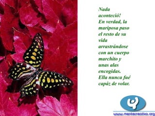 Nada
aconteció!
En verdad, la
mariposa paso
el resto de su
vida
arrastrándose
con un cuerpo
marchito y
unas alas
encogidas.
Ella nunca fué
capáz de volar.
 