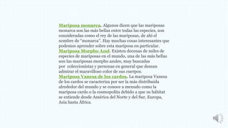 Mariposa monarca. Algunos dicen que las mariposas 
monarca son las más bellas entre todas las especies, son 
consideradas como el rey de las mariposas, de ahí el 
nombre de “monarca”. Hay muchas cosas interesantes que 
podemos aprender sobre esta mariposa en particular. 
Mariposa Morpho Azul. Existen decenas de miles de 
especies de mariposas en el mundo, una de las más bellas 
son las mariposas morpho azules, muy buscadas 
por coleccionistas y personas en general que desean 
admirar el maravilloso color de sus cuerpos. 
Mariposa Vanesa de los cardos. La mariposa Vanesa 
de los cardos se caracteriza por ser la más distribuida 
alrededor del mundo y se conoce a menudo como la 
mariposa cardo o la cosmopolita debido a que su hábitat 
se extiende desde América del Norte y del Sur, Europa, 
Asia hasta África. 
 