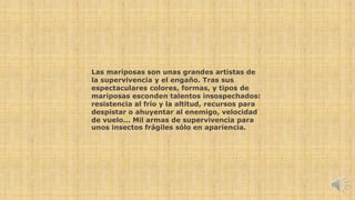 Las mariposas son unas grandes artistas de 
la supervivencia y el engaño. Tras sus 
espectaculares colores, formas, y tipos de 
mariposas esconden talentos insospechados: 
resistencia al frío y la altitud, recursos para 
despistar o ahuyentar al enemigo, velocidad 
de vuelo... Mil armas de supervivencia para 
unos insectos frágiles sólo en apariencia. 
 