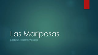 Las Mariposas
INSECTOS HOLOMETÁBOLOS
 