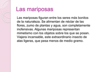 Las mariposas 
Las mariposas figuran entre los seres más bonitos 
de la naturaleza. Se alimentan de néctar de las 
flores, zumo de plantas y agua, son completamente 
inofensivas. Algunas mariposas representan 
mimetismo con los objetos sobre los que se posan. 
Viajera incansable, este extraordinario insecto de 
alas ligeras, que pesa menos de medio gramo. 
 