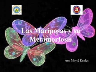 Las Mariposas y su
  Metamorfosis

             Ana Mayté Ruales
 