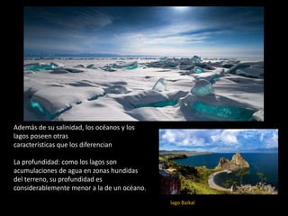 Además de su salinidad, los océanos y los
lagos poseen otras
características que los diferencian
La profundidad: como los lagos son
acumulaciones de agua en zonas hundidas
del terreno, su profundidad es
considerablemente menor a la de un océano.
.
El lago Baikal
 
