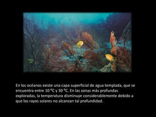 En los océanos existe una capa superficial de agua templada, que se
encuentra entre 10 ⁰C y 30 ⁰C. En las zonas más profundas
exploradas, la temperatura disminuye considerablemente debido a
que los rayos solares no alcanzan tal profundidad.
 