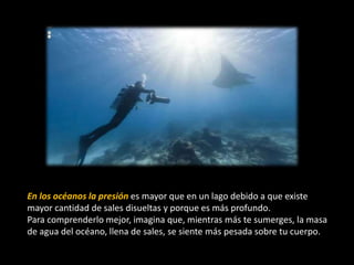 En los océanos la presión es mayor que en un lago debido a que existe
mayor cantidad de sales disueltas y porque es más profundo.
Para comprenderlo mejor, imagina que, mientras más te sumerges, la masa
de agua del océano, llena de sales, se siente más pesada sobre tu cuerpo.
 