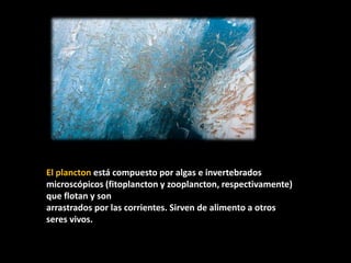 El plancton está compuesto por algas e invertebrados
microscópicos (fitoplancton y zooplancton, respectivamente)
que flotan y son
arrastrados por las corrientes. Sirven de alimento a otros
seres vivos.
 