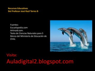 Recursos Educativos
Del Profesor José Raúl Torres B
Fuentes:
Escuelapedia.com
Artinaid.com.
Texto de Ciencias Naturales para 5
Básico del Ministerio de Educación de
Chile.
Visita:
Auladigital2.blogspot.com
 